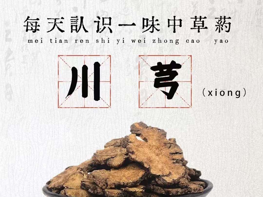 中药铺：川芎